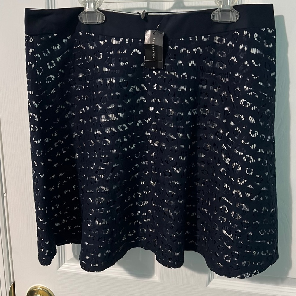 NWT The Limited Mini Skirt